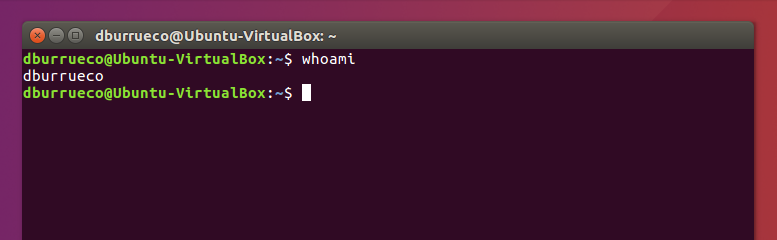 Comando WHOAMI. Ejemplo de uso