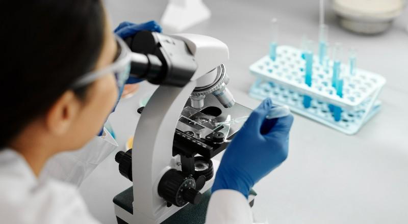 Statistical hypothesis test